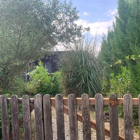 Jolie Maison En Bois Avec Piscine Saint-Césaire-de-Gauzignan
