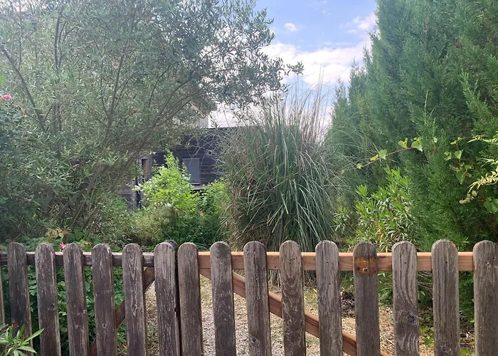 Jolie Maison En Bois Avec Piscine Saint-Césaire-de-Gauzignan