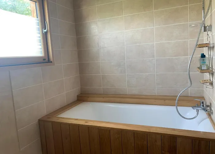 Jolie Maison En Bois Avec Piscine * Saint-Césaire-de-Gauzignan